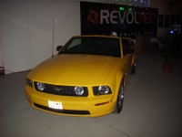 IMG 0052