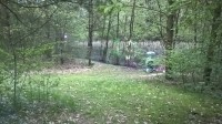 WP 20170514 20 13 26 Pro